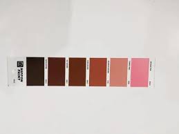 Multicolor Nippon Paint Pg75 Shade Card