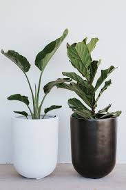 perth planter textured white pots