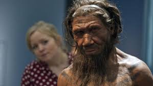 L'aumento della temperatura su tutta la terra favorì la migrazione dell'homo sapiens sapiens dall'africa verso il resto del mondo. C E Un Po Di Neanderthal In Tutti Noi Anche Nelle Popolazioni Africane Wired