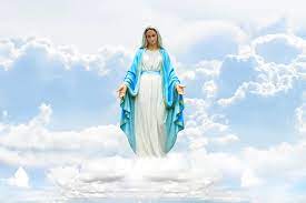 royalty free virgin mary images