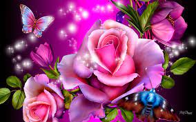 pink roses with erflies hd