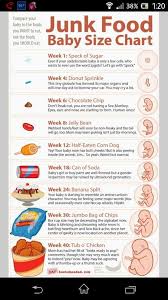 Baby Growth Chart Food Edition Baby Size Chart Baby