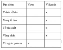 So sánh sự khác nhau về cấu tạo của virus và vi khuẩn theo gợi ý trong bảng  16.2