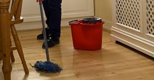 Diy Hardwood Floor Cleaners To Leave