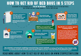 How To Get Rid Of Bed Bugs With Bombs And Foggers Does It
