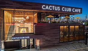 cactus club cafe sherway gardens