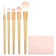 starry glow brush kit limited edition