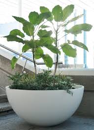 pots planters landscape design