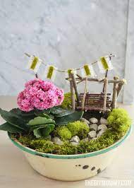 Mini Fairy Garden In A Tin Gift