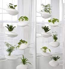 Hydroponic Planter Holders From
