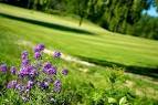 Kearsley Lake Golf Course - Flint & Genesee Group