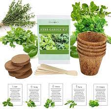 Environet Herb Garden Kit Seed Starter