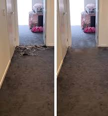 carpet repair sydney 02 5838 5505