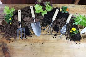 Your Soil For Spring This Winter