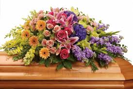 I made a quick trip around our photo studio and gathered a few interesting ones for my display. Guide To Funeral Flowers In Australia Gathered Here