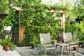 What Is A Trellis A Place For Garden