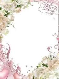 white roses pink png photo frame