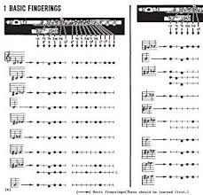 Modern Guide To Fingerings For The Flute By James J