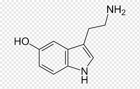 serotonin molecule chemistry chemical
