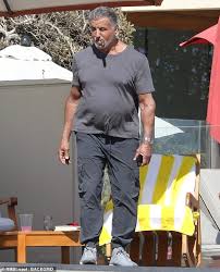 By the way, the name stallone means stallion in italian. Rambo Gets A Beer Belly Sylvester Stallone 74 Displays A Fuller Physique In Malibu Readsector