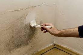 can i paint over wall with mold