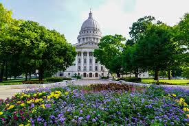 Alone In Madison Wi