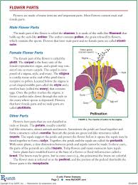 The main flower parts are the male part called the stamen and the female part called the pistil. Did You Know That The Plants Most Important To Pdf Free Download