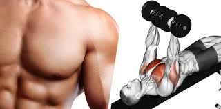 chest exercises for huge pecs