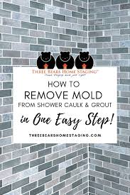 remove mold from shower caulk and grout