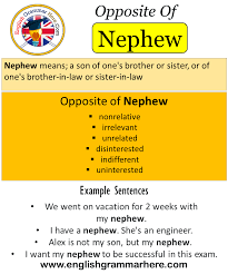 Recent examples on the web and while the classic uncle and nephew pairing might have worked perfectly for, say, lmfao, the duo could have benefited from. Opposite Of Nephew Antonyms Of Nephew Meaning And Example Sentences English Grammar Here