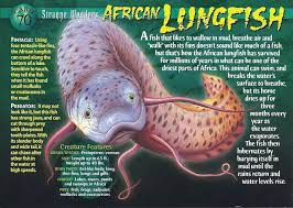 Lungfish are the real life equivalent of yeerks : r/Animorphs