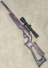 my ruger 10 22 yes it s purple