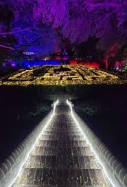 cw lights a palace garden glow event at
