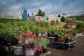 garden centers greenhouses nurseries