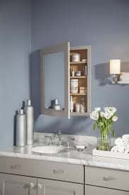 Vanity Wall Mirror Cabinet