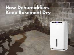 how basement dehumidifiers help in