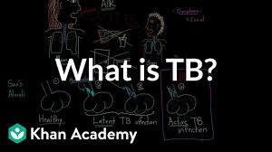 What Is Tb Video Tuberculosis Khan Academy
