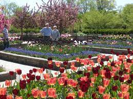 Garden Visits Arboretum Memorial Park