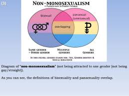 What does the australian term muddie mean? Pansexuality Bisexuality And Genderfluidity Powerpoint