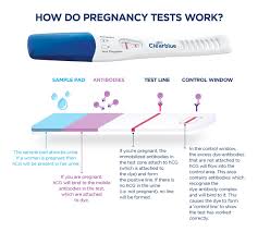 pregnancy test calculate when to take