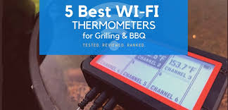 best wifi meat thermometers tested