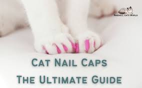 cat nail caps everything you need to know