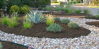Mulch Vs Rock Which Is Best For Your