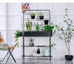 30 Stunning Indoor Plant Stand Ideas