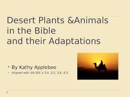 Imagine a world where water is in such short supply, and sounpredictable, that it determines the pattern of life. Desert Animals From The Bible Ppt Powerpoint