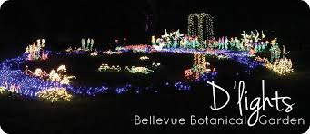 bellevue botanical garden d lights