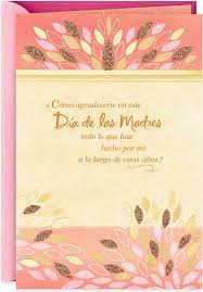 Hallmark VIDA Spanish Mothers Day Card ...