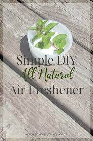 diy natural air freshener only 2