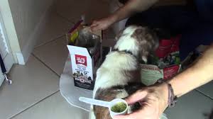 acana dog food