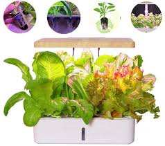 china indoor herb garden starter kit